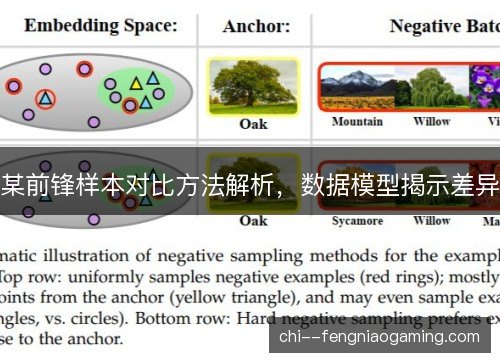 某前锋样本对比方法解析,数据模型揭示差异 某前锋样本对比方法解析,数据模型揭示差异